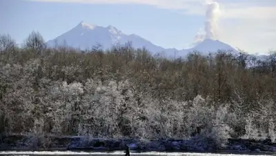 Zakon.kz, фото - Новости Zakon.kz от 04.01.2016 14:57