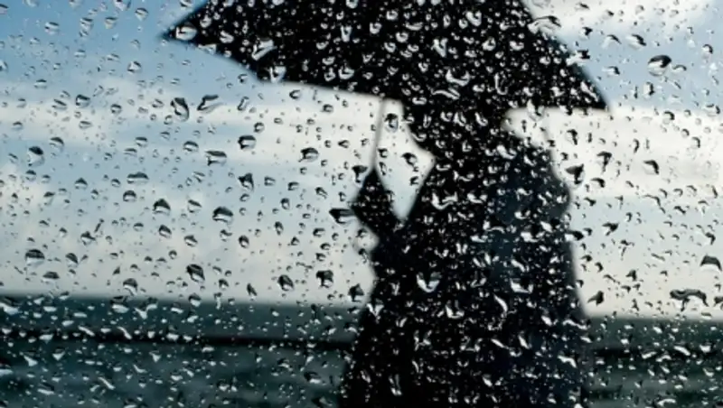 Дожди, грозы, усиление ветра прогнозируют синоптики 14 мая