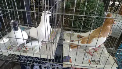 выставка , фото - Новости Zakon.kz от 05.08.2023 19:29