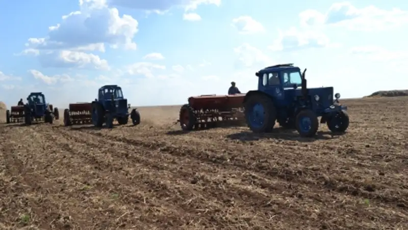 В Казахстане завершается посевная кампания