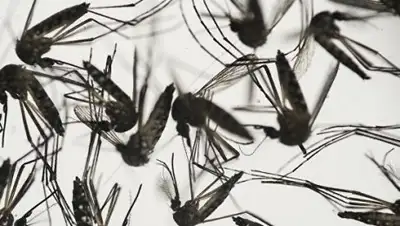 Zakon.kz, фото - Новости Zakon.kz от 02.07.2016 14:30