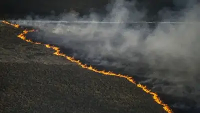 Zakon.kz, фото - Новости Zakon.kz от 29.04.2015 19:45