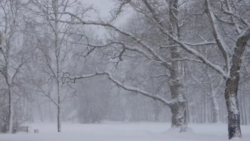 В пятницу на севере Казахстана возможны осадки