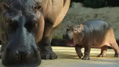 Zakon.kz, фото - Новости Zakon.kz от 28.03.2017 23:03