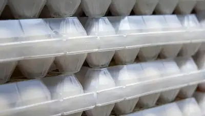 завышение цен, птицефабрика, Костанай, фото - Новости Zakon.kz от 09.12.2022 05:30