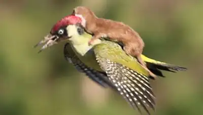 Zakon.kz, фото - Новости Zakon.kz от 11.03.2015 20:58