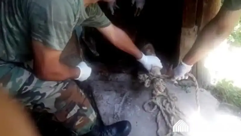 Женщина утонула в туалете, пытаясь достать деньги