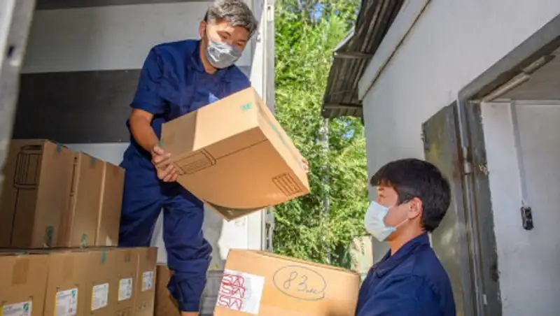 Жителям Алматинской области бесплатно раздадут противовирусные препараты на 50 млн тенге