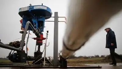 Zakon.kz, фото - Новости Zakon.kz от 08.02.2018 15:31