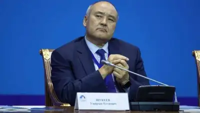 Матрица.kz, фото - Новости Zakon.kz от 26.02.2019 17:45