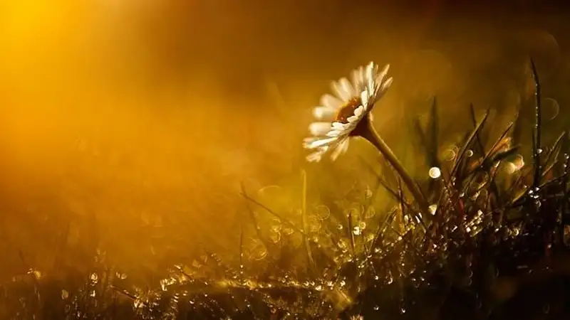 В Астане и на большей части Казахстана объявлено штормовое предупреждение