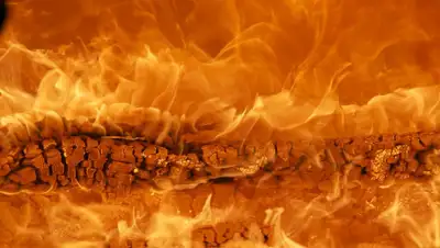 Pixabay, фото - Новости Zakon.kz от 24.04.2019 08:35