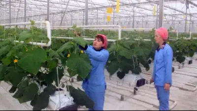 Zakon.kz, фото - Новости Zakon.kz от 20.12.2014 23:57