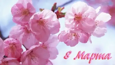 Zakon.kz, фото - Новости Zakon.kz от 08.03.2015 20:00