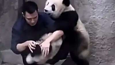 Zakon.kz, фото - Новости Zakon.kz от 24.10.2014 15:13