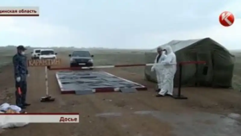 Сибирская язва может вернуться в Карагандинскую область