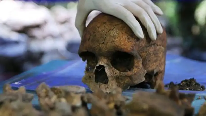 Найденная в Израиле челюсть может "удлинить" историю человека