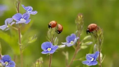 Zakon.kz, фото - Новости Zakon.kz от 16.08.2016 00:47