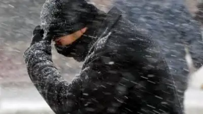 из открытых источников, фото - Новости Zakon.kz от 08.01.2019 09:50