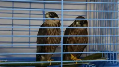 Zakon.kz, фото - Новости Zakon.kz от 29.08.2017 12:24