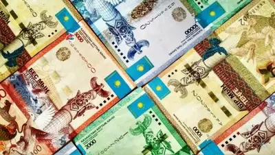 7News.kz, фото - Новости Zakon.kz от 30.01.2019 11:49