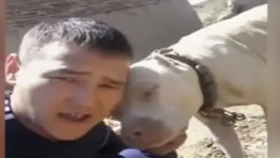 Zakon.kz, фото - Новости Zakon.kz от 23.06.2016 23:00