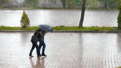 дождь, весна, прогноз погоды , фото - Новости Zakon.kz от 25.05.2022 12:44