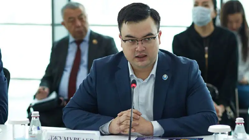 Не просто политический лозунг – член Совета АНК об идее Нового Казахстана