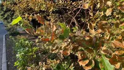 yk.kz, фото - Новости Zakon.kz от 02.06.2021 14:56