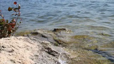 мальчик утонул Актюбинская область, фото - Новости Zakon.kz от 11.07.2022 10:43