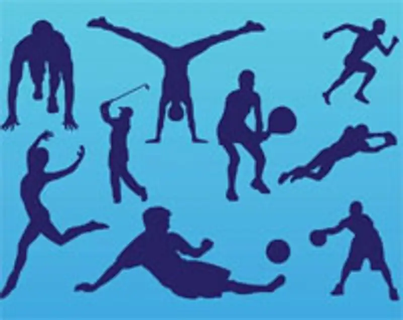 Спортивные страсти 2013 года