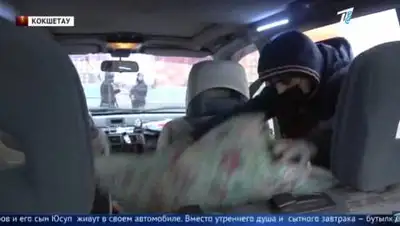 Кадр из видео, фото - Новости Zakon.kz от 05.11.2020 01:14