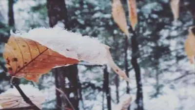 pxhere.com, фото - Новости Zakon.kz от 22.10.2021 11:49