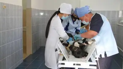 puls-zko.kz, фото - Новости Zakon.kz от 16.10.2020 08:59