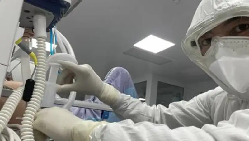 Твердые, как камень - как выглядят легкие пациентов, умерших от коронавируса