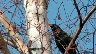 Zakon.kz, фото - Новости Zakon.kz от 15.04.2014 22:37