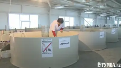 Zakon.kz, фото - Новости Zakon.kz от 09.03.2015 17:38