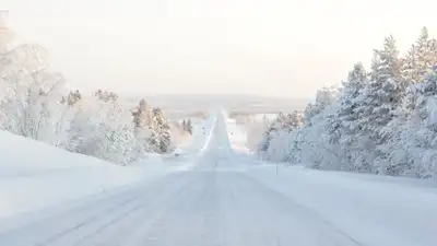 Участки республиканских трасс закрыли из-за непогоды в трех областях Казахстана, фото - Новости Zakon.kz от 25.11.2022 19:33