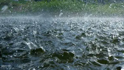 Кубанские новости, фото - Новости Zakon.kz от 11.06.2019 09:17