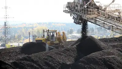 vsp.ru, фото - Новости Zakon.kz от 03.03.2020 10:33