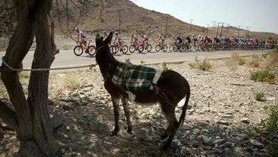 Zakon.kz, фото - Новости Zakon.kz от 22.02.2015 14:02