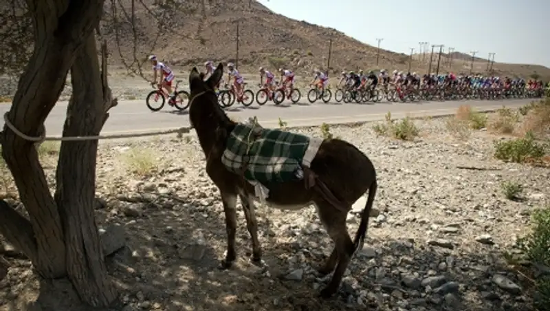 Лучшие спортивные фото недели