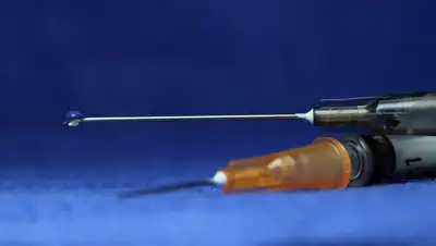 Pixabay, фото - Новости Zakon.kz от 26.04.2019 07:27