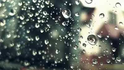 pixabay.com, фото - Новости Zakon.kz от 08.09.2021 12:25