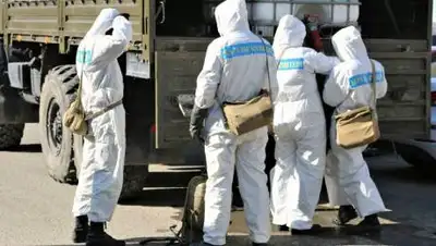 ehonews.kz, фото - Новости Zakon.kz от 03.11.2020 19:15