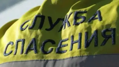 lada.kz, фото - Новости Zakon.kz от 18.01.2019 22:03