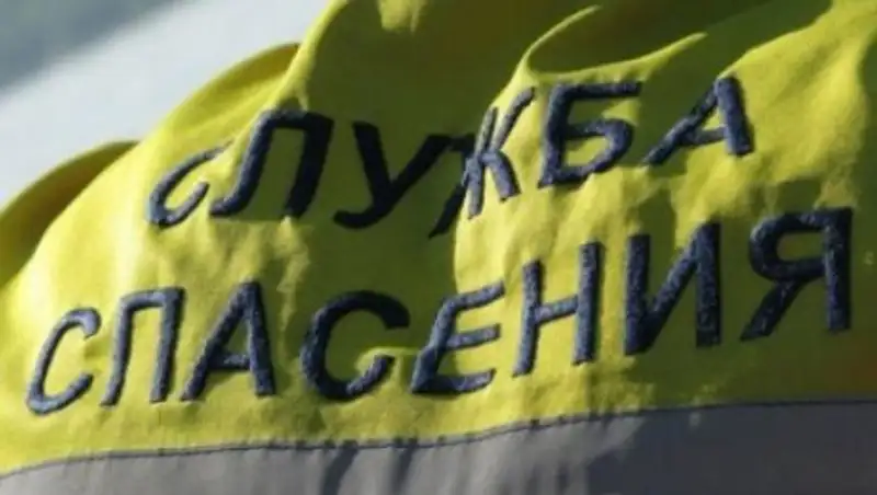 "Вел себя неадекватно". Спасатели сняли мужчину с дерева в Павлодаре