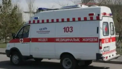 Zakon.kz, фото - Новости Zakon.kz от 08.08.2017 00:06