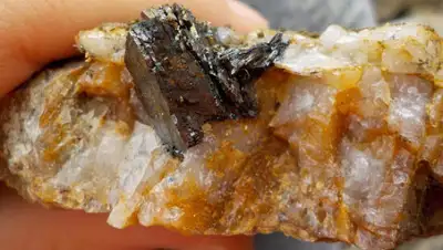 viu.tsu.ru, фото - Новости Zakon.kz от 28.07.2020 11:27