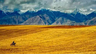 Сельчанин из Карагандинской области на коне поднялся на пятый этаж: его накажут, фото - Новости Zakon.kz от 16.01.2023 13:42